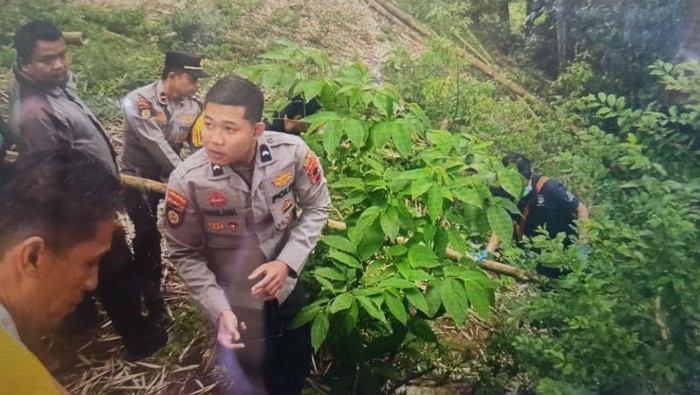 Polisi saat mengevakuasi potongan tubuh bayi yang diduga dimutilasi dan dibuang di bibir Ngarai Sianok Kota Bukittinggi (ANTARA/AlΒ Fatah) Polisi saat mengevakuasi potongan tubuh bayi yang diduga dimutilasi dan dibuang di bibir Ngarai Sianok Kota Bukittinggi (ANTARA/AlΒ Fatah)
