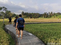 Gawat! Dalam 5 Tahun, Sawah di Bali Berkurang 6.522 Hektare