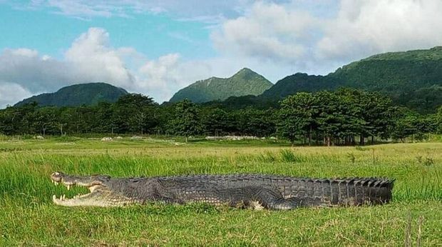 Taman Nasional Nino Konis Santana Taman Nasional Nino Konis Santana yang jadi habitat berbagai makhluk hidup dan wilayah konservasi-wisata di Timor Leste.