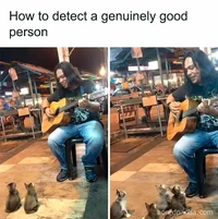 Galeri Hewan Lucu, Dijamin Bikin Kamu Senyum-senyum Sendiri Kumpulan foto peliharaan ini bikin pecinta hewan senyum-senyum sendiri karena gemas. Dijamin mood langsung oke!