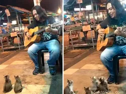 Galeri Hewan Lucu, Dijamin Bikin Kamu Senyum-senyum Sendiri