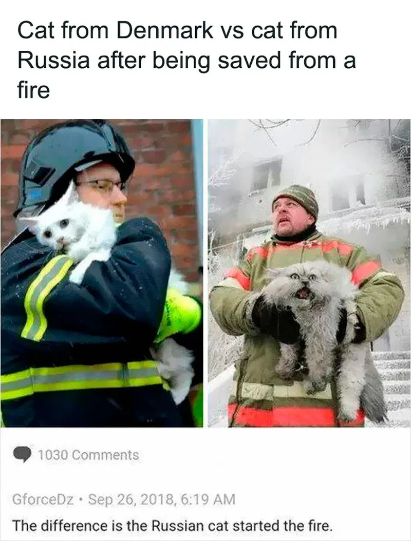 Kumpulan foto peliharaan ini bikin pecinta hewan senyum-senyum sendiri karena gemas. Dijamin mood langsung oke!