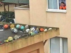 Bukan Photoshop! Gambar Lucu Ini Bikin Logika Ikutan Error