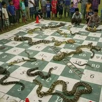 Gambar Lucu Tak Masuk Akal Gambar Lucu Tak Masuk Akal
