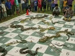 Bukan Photoshop! Gambar Lucu Ini Bikin Logika Ikutan Error