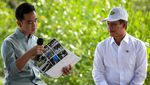 Gibran Tanam Mangrove di Tangerang, Ajak Warga Jaga Pesisir
