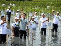 Gibran Tanam Mangrove di Tangerang, Ajak Warga Jaga Pesisir