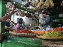 Harga Cabai Anjlok di Probolinggo, tapi Daya Beli Masyarakat Lesu