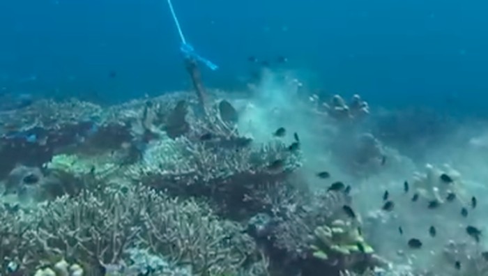Jangkar Rusak Terumbu Karang Tangkapan layar jangkar kapal wisata menghancurkan terumbu karang di Labuan Bajo, Manggarai Barat, NTT, Sabtu (25/10/2025). (Istimewa)