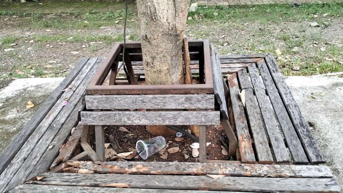 Kampung Kemang yang sepi di 2025. Kampung Kemang yang sepi di 2025.