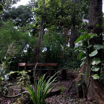 Kedai Baung Pasuruan Kedai Baung Pasuruan