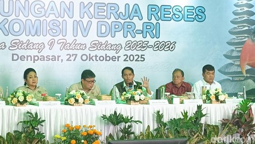 Kegiatan diskusi repatriasi untuk mendukung satwa liar di Bali yang berlokasi di Kantor Balai KSDA Bali pada Senin (27/10/2025). (Ni Made Lastri Karsiani Putri-detikBali)