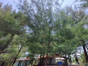 Heboh Festival Lampion Jadi Hujan Api di Pantai Gua Cemara Bantul