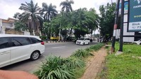 Detik-detik Pohon Tumbang di Pondok Indah Timpa Lexus hingga Pengemudi Tewas Detik-detik Pohon Tumbang di Pondok Indah Timpa Lexus hingga Pengemudi Tewas