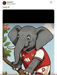 Meme Arsenal