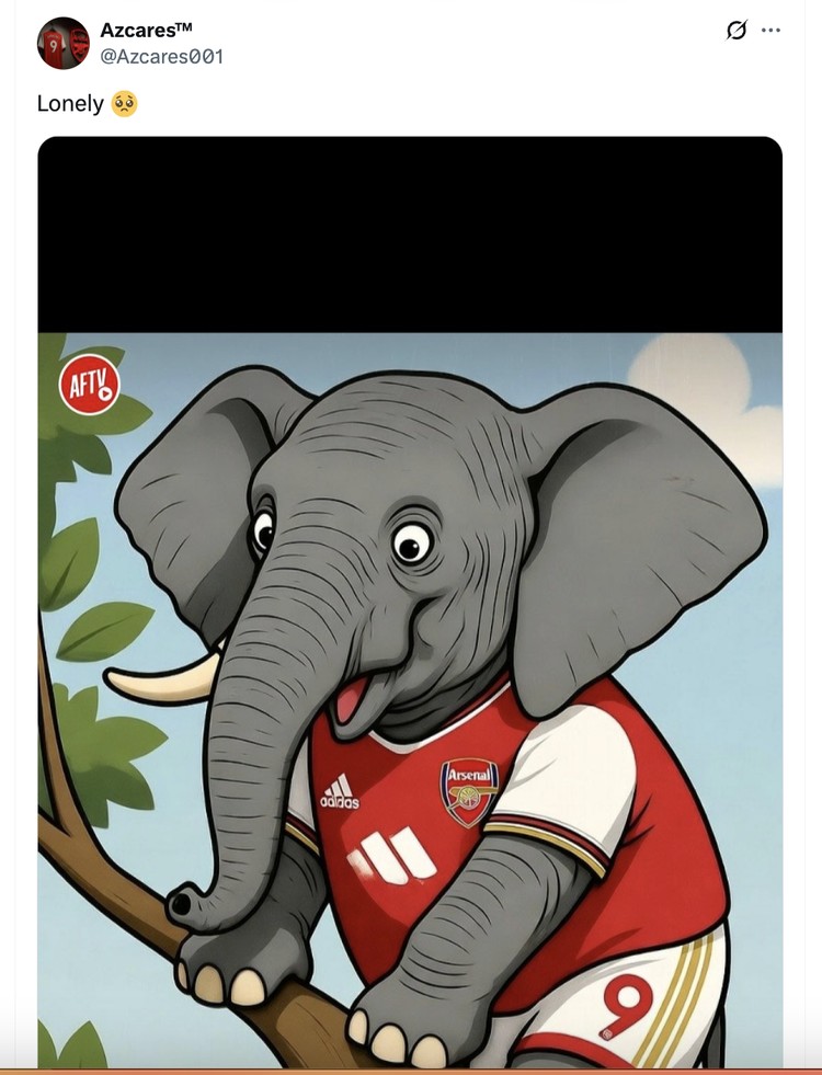 Meme Arsenal