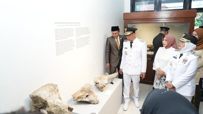 Museum Rajekwesi Bojonegoro yang telah diresmikan selama sepekan akan dioptimalkan jadi ruang edukasi. Museum Rajekwesi Bojonegoro yang telah diresmikan selama sepekan akan dioptimalkan jadi ruang edukasi.