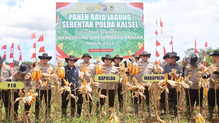 Panen Raya Jagung Serentak Polda Kalsel Panen Raya Jagung Serentak Polda Kalsel.