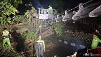 Pohon Beringin Raksasa Tumbang Tutup Jalan Arah Stasiun Bogor Pohon Beringin Raksasa Tumbang Tutup Jalan Arah Stasiun Bogor