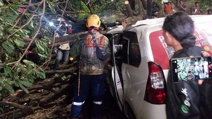 Pohon tumbang Pohon tumbang di Jalan Perintis Kemerdekaan, Makassar, Sulawesi Selatan (Sulsel), Senin (27/10/2025) malam.