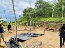 Polisi Gerebek Arena Judi Sabung Ayam di Bulukumba, 2 Orang Ditangkap