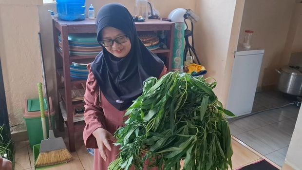 Proses pemilihan pucuk daun ubi untuk dendeng. Proses pemilihan pucuk daun ubi untuk dendeng.
