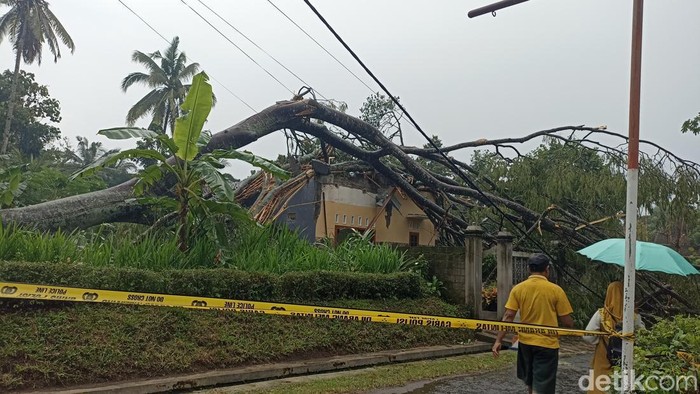 Rumah warga Nglegok, Blitar tertimpa pohon tumbang Rumah warga Nglegok, Blitar tertimpa pohon tumbang