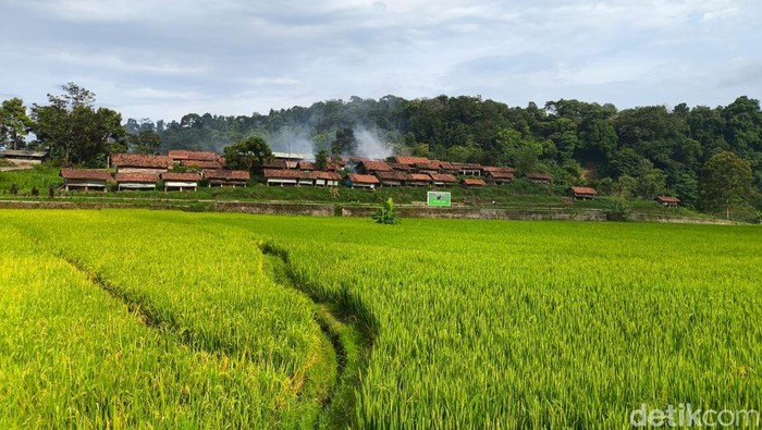 Suasana Desa Wisata Cibuntu Kuningan Suasana Desa Wisata Cibuntu Kuningan