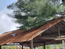 Momen Festival Lampion Pantai Gua Cemara Jadi Hujan Api Versi Pengunjung