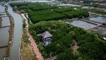 Wacana Rehabilitasi Besar-Besaran Lahan Mangrove yang Beralih Fungsi