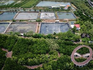 Wacana Rehabilitasi Besar-Besaran Lahan Mangrove yang Beralih Fungsi