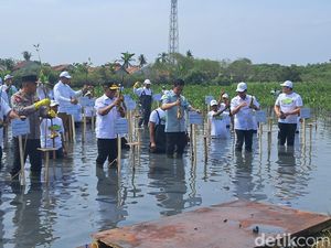 Gibran Tanam Mangrove di Tangerang, Minta Kawasan Pesisir Ditangani Serius