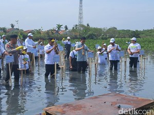 Gibran Tanam Mangrove di Tangerang, Minta Kawasan Pesisir Ditangani Serius