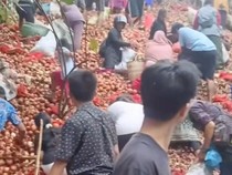 Video: Heboh Warga Serbu Bawang yang Dibuang, Karantina Kepri Buka Suara