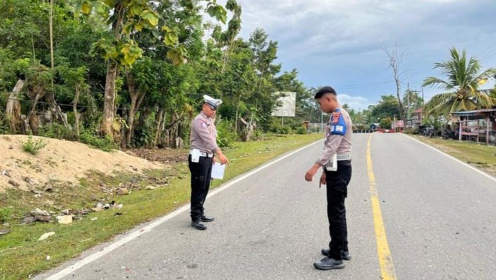 alan Poros Lasalepa Dua motor terlibat tabrakan atau adu banteng di Jalan Poros Lasalepa, Kabupaten Muna, Sulawesi Tenggara (Sultra).