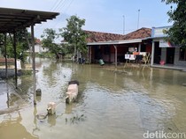 Kondisi Terkini Banjir di Batangan Pati