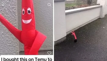 Kirain segede apa, ternyata mainan angle. Foto: camlaw63 via Bored Panda