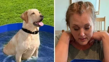 Itu foto produknya pakai anak anjing kali, ya? Foto: leftcrow via Bored Panda