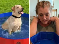 Benda yang Dicheckout vs Aslinya, Kok Jadi Lawak?