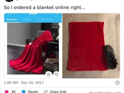 Benda yang Dicheckout vs Aslinya, Kok Jadi Lawak?