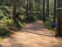 Healing Murah di Bumi Perkemahan Bedengan Malang