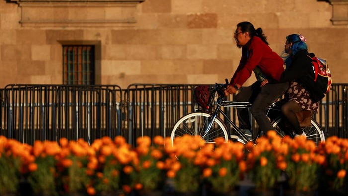 Hamparan Bunga Marigold Warnai Hari Arwah di Meksiko City Mexican Marigolds (Cempasuchil), part of the Day of the Dead mega offering to honor the 700th anniversary of the founding of Tenochtitlan at Zocalo Square, in Mexico City, Mexico, October 27, 2025. REUTERS/Raquel Cunha