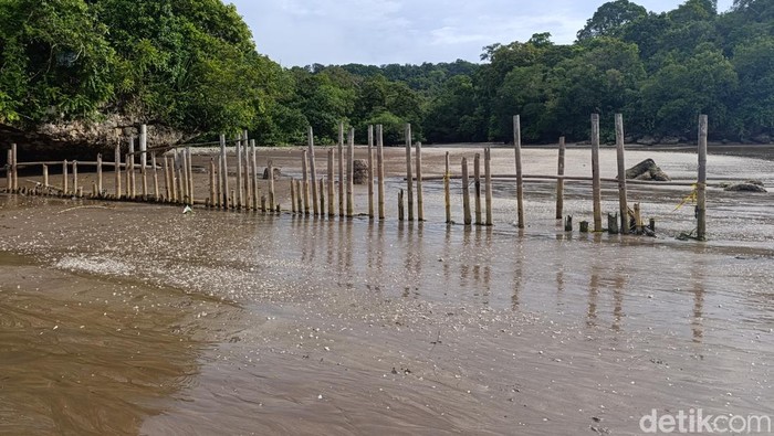 Kondisi Pagar Laut Cagar Alam Pangandaran dan rusa yang berada diluar kawasan TWA Kondisi Pagar Laut Cagar Alam Pangandaran dan rusa yang berada diluar kawasan TWA