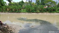 Viral Ikan-ikan di Sungai Jagir Surabaya Naik ke Permukaan Viral Ikan-ikan di Sungai Jagir Surabaya Naik ke Permukaan