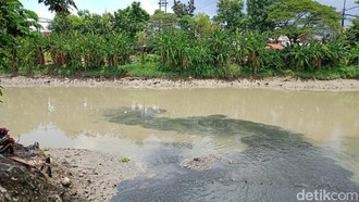 Viral Ikan-ikan di Sungai Jagir Surabaya Naik ke Permukaan Viral Ikan-ikan di Sungai Jagir Surabaya Naik ke Permukaan