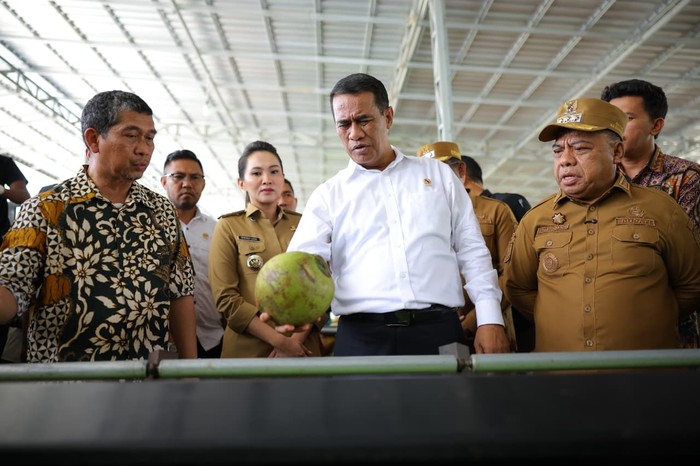 Kunker ke Halmahera, Mentan Komitmen Tingkatkan Kesejahteraan Petani Kelapa Kunker ke Halmahera, Mentan Komitmen Tingkatkan Kesejahteraan Petani Kelapa
