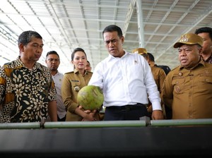 Kunker ke Halmahera, Mentan Komitmen Tingkatkan Kesejahteraan Petani Kelapa