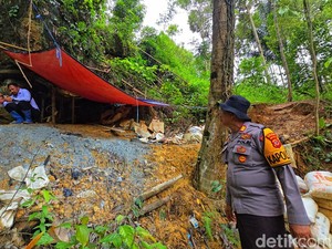 PETI Bawa Petaka di Balik Narasi Mencuri di Tanah Sendiri Sukabumi