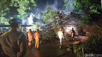 Penanganan Pohon Tumbang di Dekat Stasiun Bogor Diperkirakan Selesai Pagi Ini Penanganan Pohon Tumbang di Dekat Stasiun Bogor Diperkirakan Selesai Pagi Ini