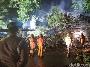 Penanganan Pohon Tumbang di Dekat Stasiun Bogor Diperkirakan Selesai Pagi Ini